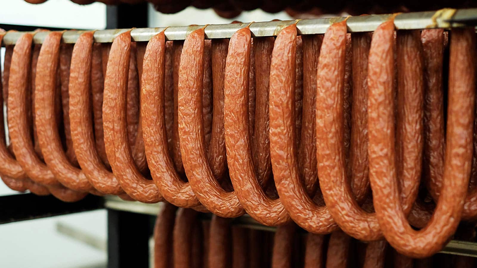 Rings of Stawnichy's sausage on a rack.